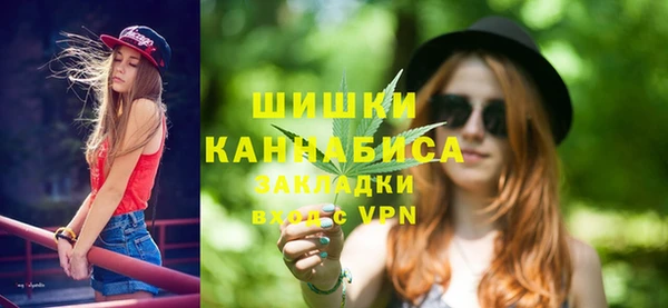 мдпв Ельня