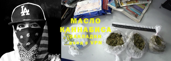 мдпв Ельня