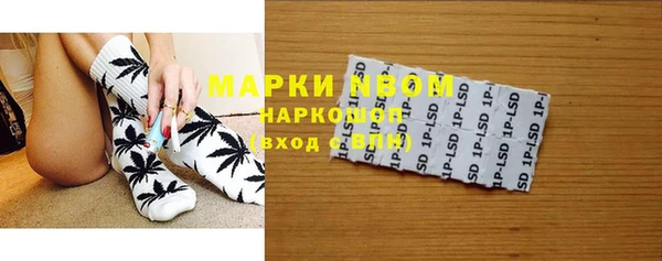 мдпв Ельня