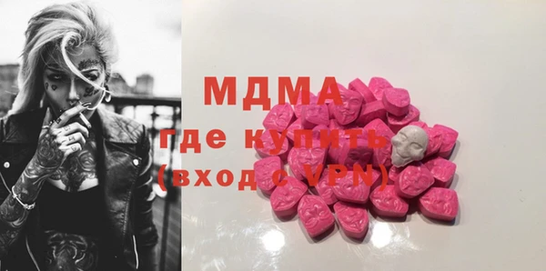 мдпв Ельня
