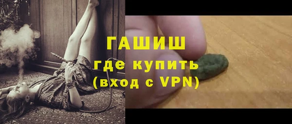 мдпв Ельня