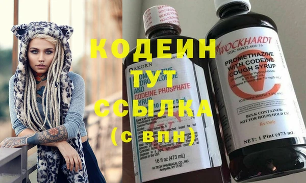 мдпв Ельня