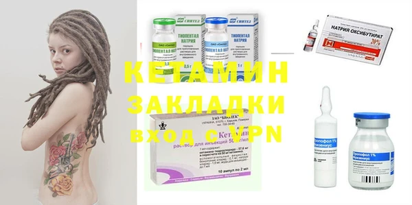 мдпв Ельня