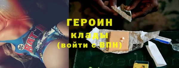 мдпв Ельня
