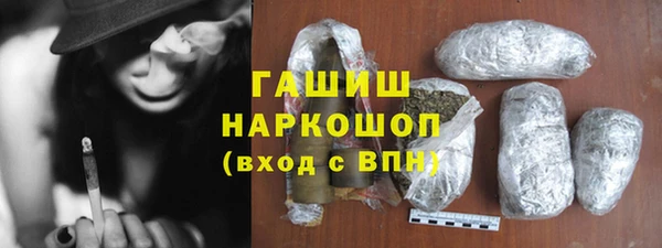 мдпв Ельня