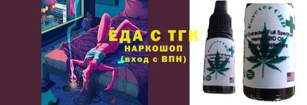 мдпв Ельня