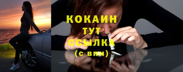 ПСИЛОЦИБИНОВЫЕ ГРИБЫ Тайга