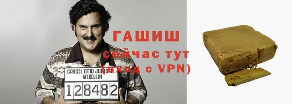 мдпв Ельня