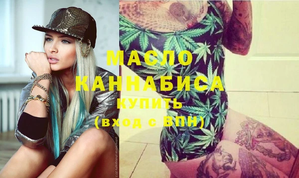 мдпв Ельня