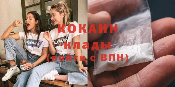 мдпв Ельня