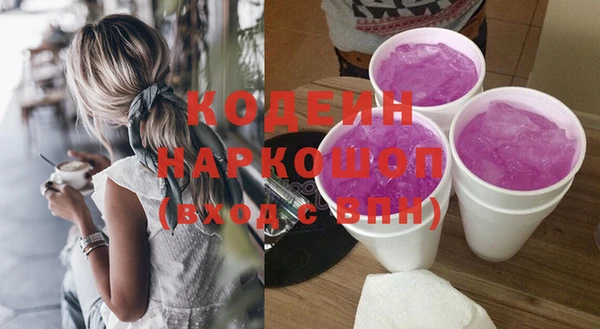 мдпв Ельня