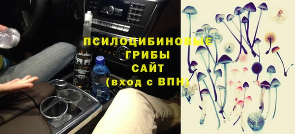 не бодяженный Елабуга