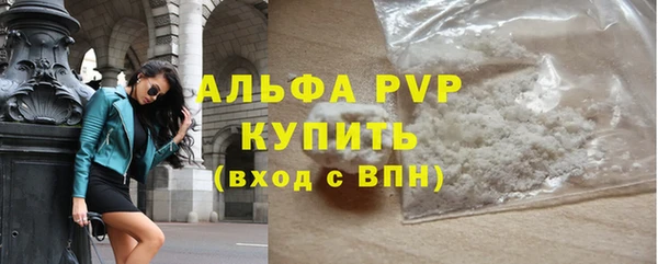 мдпв Ельня