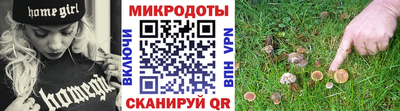 Галлюциногенные грибы ЛСД  где найти   Ивдель 